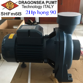 Giao nhận máy bơm nước Dragonsea SHF m5B