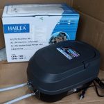 Máy thổi khí HAILEA CPA 120 28w