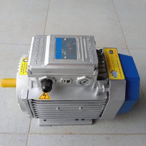 Motor Toàn Phát 1HP vỏ gang
